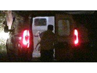 Balıkesir’de pitbull dehşeti: 3 yaralı