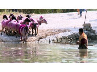 8 asırlık yarışma