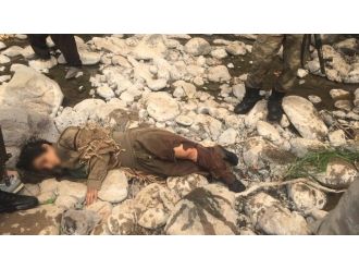 Hakkari’de PKK’ya darbe üstüne darbe