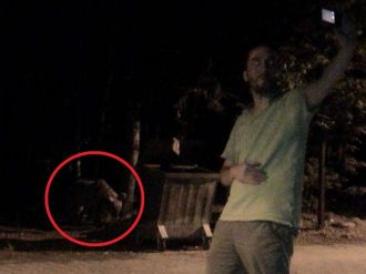 Ayıyla selfie yaptı