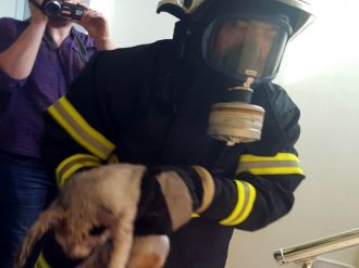 Kedi, banyoda saklanarak yangından kurtuldu