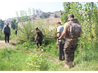 UNESCO listesindeki Hevsel Bahçeleri’nde uyuşturucu operasyonu