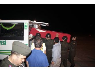 "Canımın içisin ağabey"