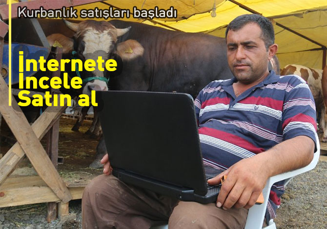 İnternetten incele, pazardan al