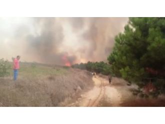 Çatalca’da orman yangını
