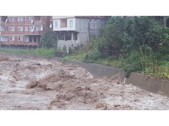 Taşan dere önüne kattığını götürdü