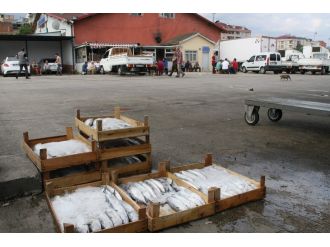 Balık av sezonu açıldı ama...