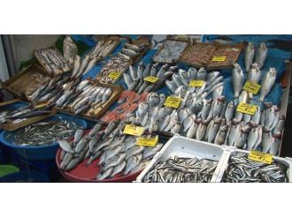 İlk gün İstanbul’da tezgahlarda palamut ve hamsi var