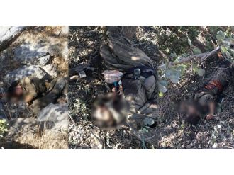 Cudi Dağı’nda 3 terörist öldürüldü