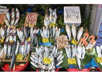 Avlanma yasağı kalktı, balık fiyatları ucuzladı