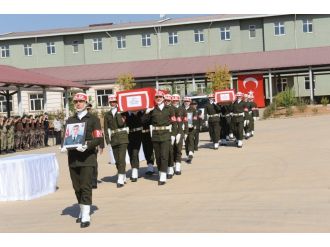 Dargeçit şehitlerine tören