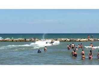 Denizde can pazarı kameraya yansıdı