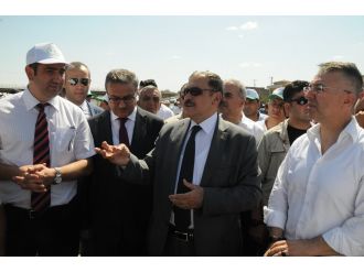 Bakan Eroğlu’ndan büyük müjde