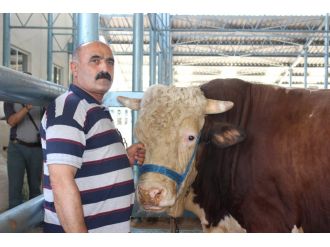 Otomobil fiyatına..