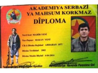 Sözde Tendürek bölge sorumlusu öldürüldü