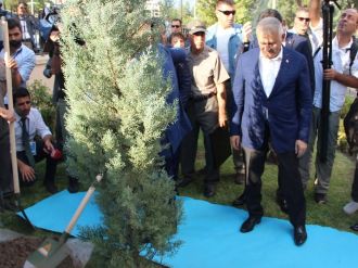 Başbakan Yıldırım, valilik bahçesine ağaç dikti