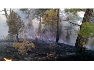 24 saatte 24 yıldırım yangını