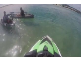 Yavru kanguruyu denizden böyle kurtardılar