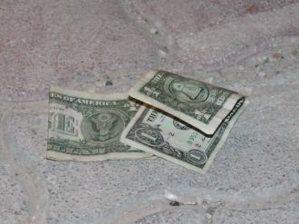 Çöpte bulunan dolarlar polisi alarma geçirdi