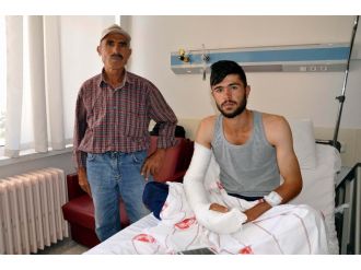 Sürüyü korumak isterken canından oluyordu