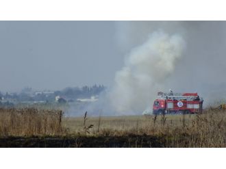 Turizm bölgesinde 800 dönüm sazlık alan kül oldu