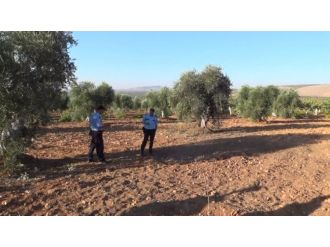 Kilis’e roket mermisi atıldı