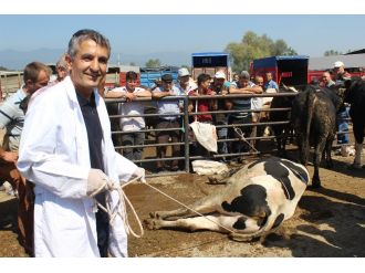 Kurbanlığı yatırmanın püf noktası