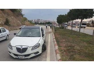 340 promil alkollü sürücü 11 ağacı devirerek durabildi