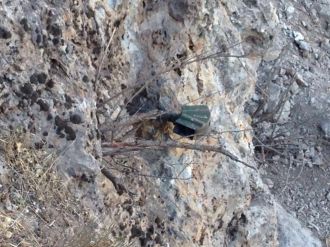 Çukurca’dan çarpıcı kareler!