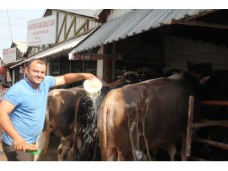 Bursa’daki hayvan pazarından renkli görüntüler