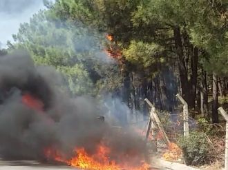 Otomobil yandı, alevler ağaçlara sıçradı