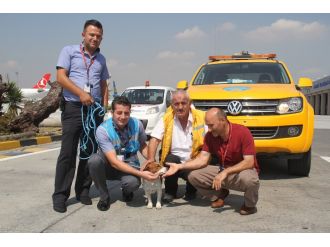 Apronda kaybolan köpek ekipleri alarma geçirdi