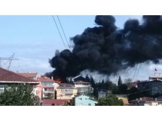 Kuşlar konmasın diye dökülen zift yangına sebep oldu