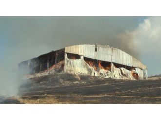 Atık kağıt deposundaki yangın tarlalara sıçradı