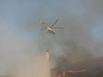 Paşalimanı Adası’nda yangın