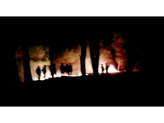 Dilek balonu yangın çıkarttı