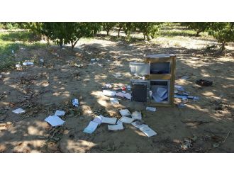 Çaldıkları kasayı şeftali bahçesinde açtılar