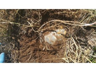 Askerin dikkati faciayı önledi