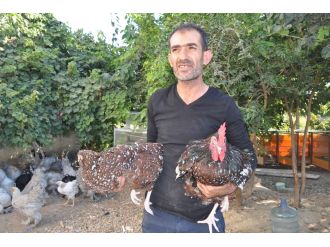 Hobi olarak başladı ihracatçı oldu