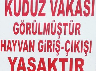 Osmaniye’de ’kuduz’ karantinası