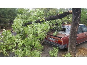 Çatılar uçtu, ağaçlar devrildi!