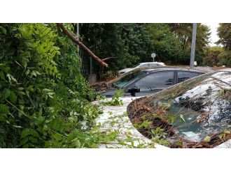 Fırtına hayatı felç etti