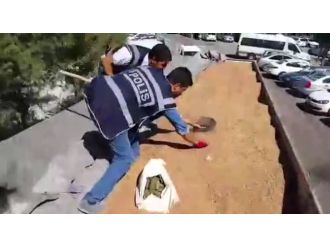 Polis kürekle esrar aradı