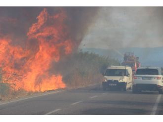 Dev alevler korkuttu