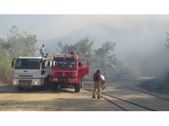 Mersin’de orman yangını