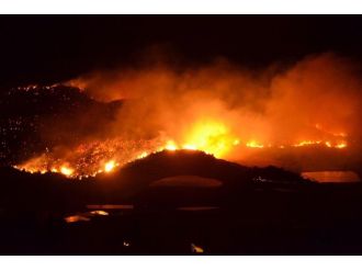 Mersin’deki orman yangınları kontrol altına alındı