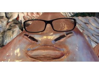 Vatandaşın sapan balığı görürse...