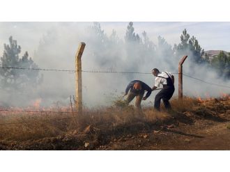 Orman yangınına vali müdahale etti!