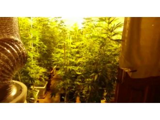 Bir milyonluk düzenekle lüks villada uyuşturucu yetiştirdiler