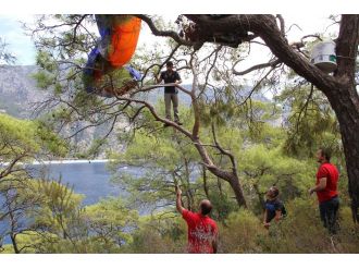 Paraşütçünün hayatını ağaç kurtardı